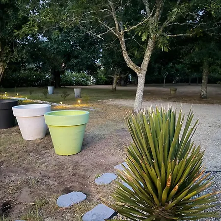 Airial Landais Campo de lujo *